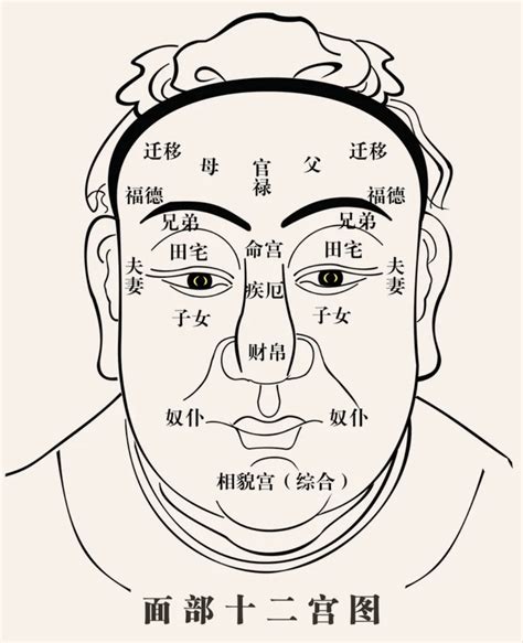 性需要面相|从5个面相 判断男人的性能力